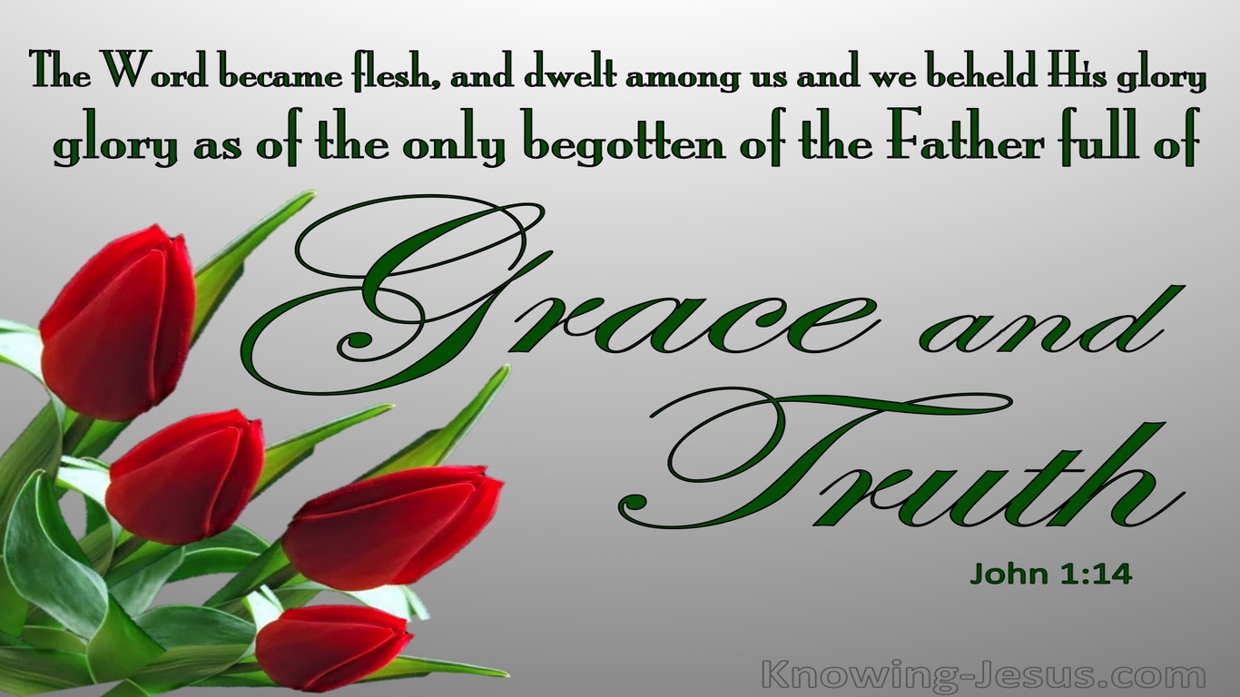 John 1:14 Full Of Grace And Truth (green)